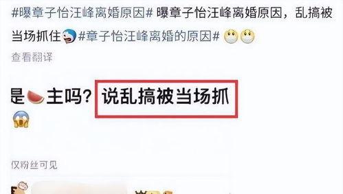 刘大锤爆料小结视频,视频爆料内容精华汇总  第2张